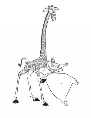 Раскраски трансильвания, Раскраска Отель трансильвания мультфильмы