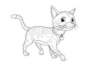 Раскраска Кошка