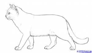 Раскраски кошка профиль