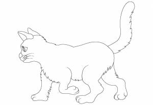 Раскраски кошка профиль