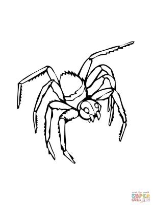 Раскраска Чёрная вдова