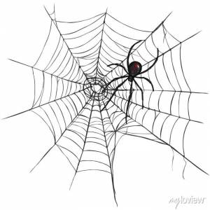 Вектор черная вдова паук на паутине