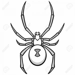 Паук черная вдова раскраска