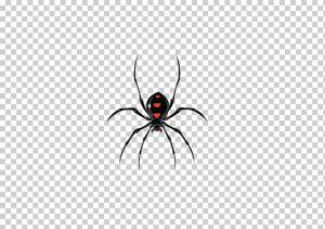 Паук Джексонвилль Вдова, Spider Creative, Creative Artwork, насекомые, черная вдова png