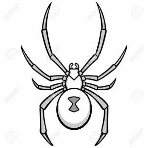 Раскраски Черная вдова паук