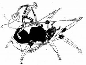 Раскраски Черная вдова паук
