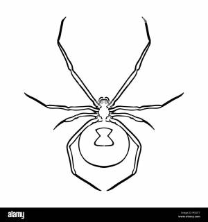 Паук черная вдова раскраска