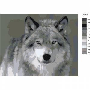 Северный волк 80х100 Раскраска картина по номерам на холсте Z-AB639-80x100