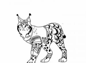 Раскраски Wildcraft