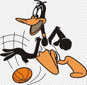 Daffy Duck Bugs Bunny Elmer Фадд Дональд Дак Персонаж, утка, животные, фотография png
