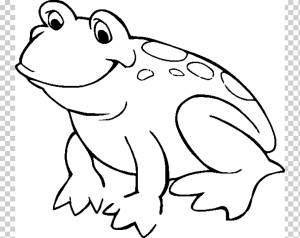 Американская лягушка-раскраска Книжка-раскраска Амфибия Чайлд, лягушка, белый, ребенок, млекопитающее png