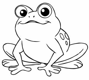 Милая лягушка