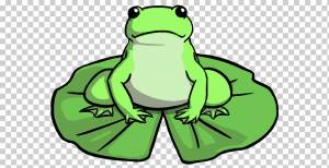 Рисунок лягушки-амфибии, мультфильм лягушка на ли, позвоночный, фауна, трава png