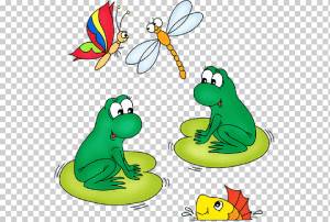 Царевна-лягушка Амфибия, лягушка, животные, фотография, позвоночное животное png