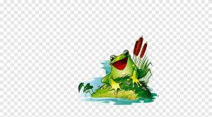 Царевна-лягушка Animaatio, лягушка, животные, позвоночные png