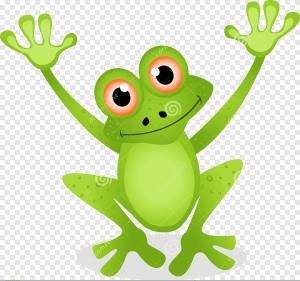 Графика лягушка рисунок, лягушка, животные, позвоночные png