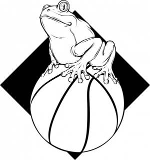 Лягушка в черно-белом контуре