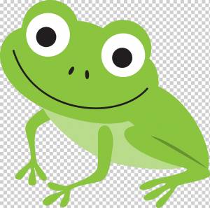 Рисунок лягушки, амфибия, лист, животные, позвоночный png