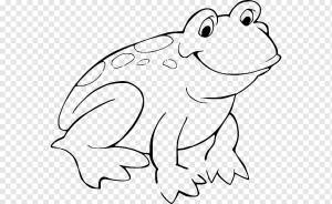 Красноглазая древесная лягушка Книжка-раскраска Жаба-амфибия, белый, ребенок, животные png