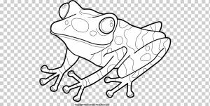 Книжка-раскраска «Лягушка и жаба» Лягушка и жаба