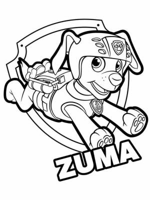 Раскраски мега щенки щенячий патруль