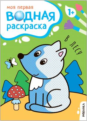 Раскраска Первая раскраска Феи и драконы, Перевалова Д