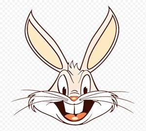 Даффи Дак, Багз Банни, Порки Пиг, Мультфильм, Луни Тюнз, Элмер Фадд, Твити, Бэбс Банни png