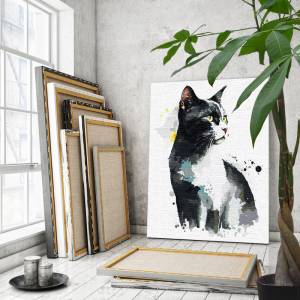 AAAA-Q1028 Черный с белым кот Феликс Животные Кошки Котята Арт Раскраска картина по номерам на холсте недорого