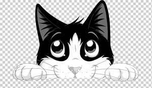 Корм для кошек Felix the Cat Nestlé Purina PetCare Company, Кот, png