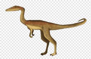Coelophysis Динозавр Chindesaurus Рисование Призрак Ранчо, имя в рамке картины, фауна, земное животное, перо png