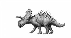 Albertaceratops