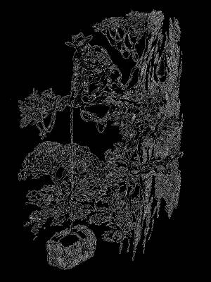 Книга Великих джунглей [Айвен Теренс Сандерсон]