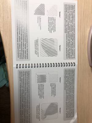 Белки Спиральная раскраска антистресс Академия Амбрелла