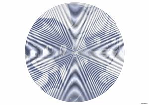 Spiroglyphics Раскраска по кругу