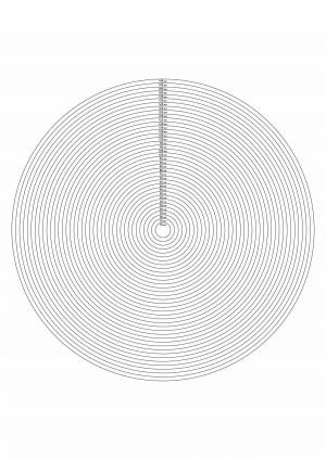 Раскраски Круговая по фото