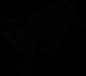 Раскраски Леопард  в хорошем качестве,  ,  на VipRaskraski