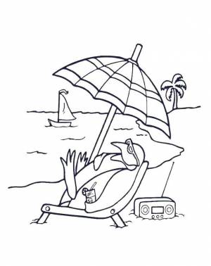 Раскраски пинг, Раскраска Пингвин на отдыхе лето