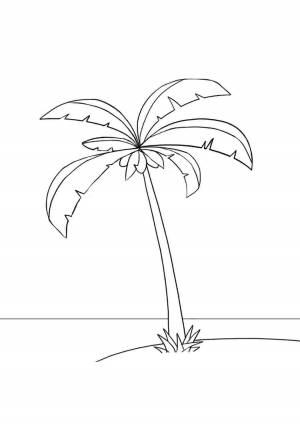 Три пальмы раскраска