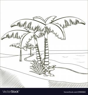 Три пальмы раскраска