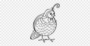 Раскраска «Птица» Дятел раскраски Живопись, раскраска валторна, акварельная живопись, ребенок, курица png