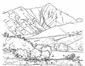 Горы и лес Раскраски для мальчиков