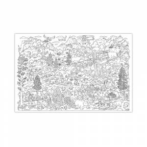 Карта-раскраска Лес и горы