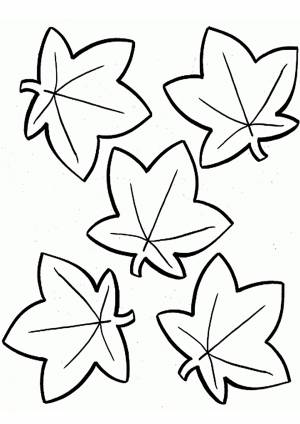 Раскраска Стзованные листья клёна