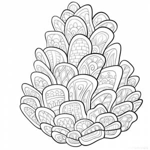 Раскраска Шишка