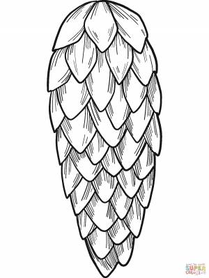 Раскраска Сосновая шишка