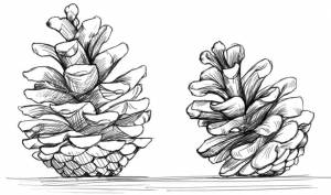 Уроки рисования