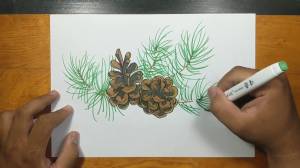 как нарисовать шишку