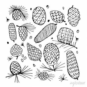 Кедровая шишка фон, эскиз для вашего дизайна фотообои