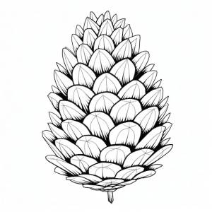 Черно-белая раскраска кедровой шишки