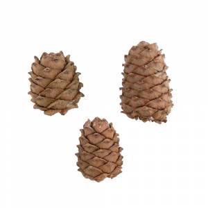 Blumentag PIF-02 Шишки 3 шт